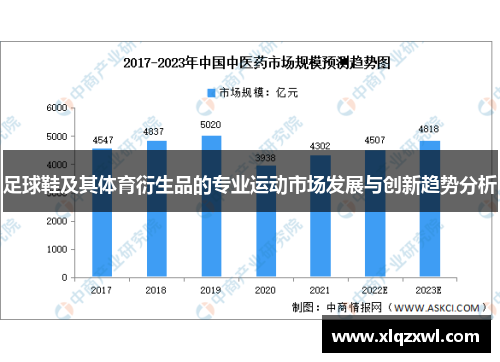 足球鞋及其体育衍生品的专业运动市场发展与创新趋势分析